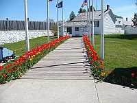 202 Memorial Day [2008 May 23]